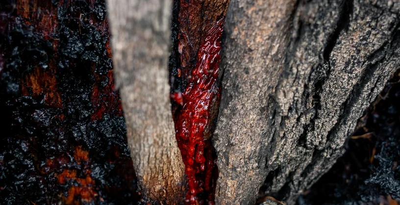 hypnose regressive assistée